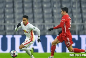 九游体育APP下载-包含托特纳姆今夜绝杀压哨塔图姆与40激战利物浦分钟，里尔强势反弹备战法甲都惊呆了的词条